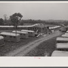 Trailers for defense workers at Vultee Aircraft Plant. Nashville, Tennessee.