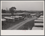 Trailers for defense workers at Vultee Aircraft Plant. Nashville, Tennessee.