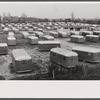 Trailer camp for defense workers of the Vultee Aircraft Plant. Nashville, Tennessee.