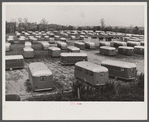 Trailer camp for defense workers of the Vultee Aircraft Plant. Nashville, Tennessee.