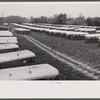 Trailer camp for defense workers of the Vultee Aircraft Plant. Nashville, Tennessee.
