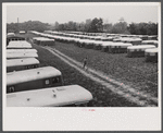 Trailer camp for defense workers of the Vultee Aircraft Plant. Nashville, Tennessee.