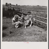 Veterinary advising on care and health of young calves. Fremont County, Idaho.