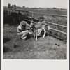 Veterinary advising on care and health of young calves. Fremont County, Idaho.