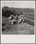 Veterinary advising on care and health of young calves. Fremont County, Idaho.