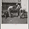 Stomach pump for ob.-cow with dropsy. Fremont County, St. Anthony, Idaho.