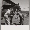 Veterinary explaining where to look for bot fly eggs in sanitation program for horses. Fremont County, Idaho.