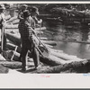 Rolling logs into river near Littlefork, Minnesota.