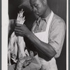 Selma Purity Ice Plant employee packing chickens