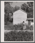 Mrs. Eugene Smith working in her garden