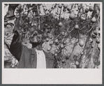 Man reaching for pears