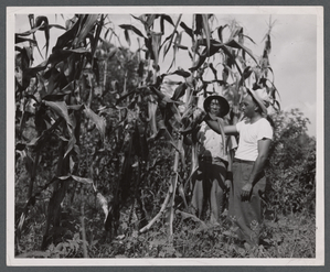 Agriculture