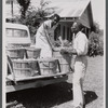 Mr. and Mrs. George Spratt loading fruit onto truck