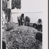 Hilton Head Fishing Cooperative members with fresh catch