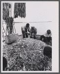 Hilton Head Fishing Cooperative members with fresh catch