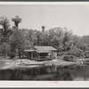 Palm house and shacks along drainage canal near Hammond, Louisiana. Some miles north of New Orleans.