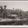 Palm house and shacks along drainage canal near Hammond, Louisiana. Some miles north of New Orleans.