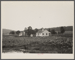 Backyards and houses of the Palmerdale Homesteads near Birmingham, Alabama.
