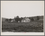 Backyards and houses of the Palmerdale Homesteads near Birmingham, Alabama.