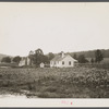 Backyards and houses of the Palmerdale Homesteads near Birmingham, Alabama.