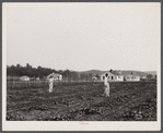 Backyards and houses of the Palmerdale Homesteads near Birmingham, Alabama.