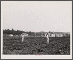 Backyards and houses of the Palmerdale Homesteads near Birmingham, Alabama.
