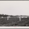 Backyards and houses of the Palmerdale Homesteads near Birmingham, Alabama.