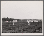 Backyards and houses of the Palmerdale Homesteads near Birmingham, Alabama.
