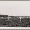 Backyards and houses of the Palmerdale Homesteads near Birmingham, Alabama.