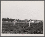 Backyards and houses of the Palmerdale Homesteads near Birmingham, Alabama.