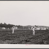Backyards and houses of the Palmerdale Homesteads near Birmingham, Alabama.