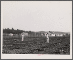 Backyards and houses of the Palmerdale Homesteads near Birmingham, Alabama.
