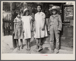"Griffin children" of west Alabama land use demonstration project near Greensboro, Alabama. They are all third or fourth generation resulting from, it is believed, a white woman and a Negro.