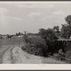 Cornfield being cultivated close to an erosion pit, near Havana, Alabama.