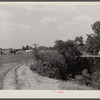 Cornfield being cultivated close to an erosion pit, near Havana, Alabama.