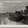 Cornfield being cultivated close to an erosion pit, near Havana, Alabama.