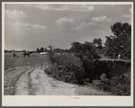 Cornfield being cultivated close to an erosion pit, near Havana, Alabama.