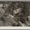 Cultivation of cotton close to the erosion pit near Havana, Alabama, near the West Alabama Land Use Demonstration Project. Note the Utah clay formation in pit bottom.