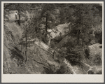 Cultivation of cotton close to the erosion pit near Havana, Alabama, near the West Alabama Land Use Demonstration Project. Note the Utah clay formation in pit bottom.