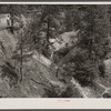 Cultivation of cotton close to the erosion pit near Havana, Alabama, near the West Alabama Land Use Demonstration Project. Note the Utah clay formation in pit bottom.