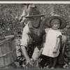 [Picking butterbeans, Wolf Creek Farms homestead. Near Cairo, Georgia?]