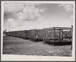 [Outdoor cages. Wildlife conservation project, Florida?]
