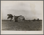 Negro farmer's home on St. Helena Island off Beaufort, South Carolina.