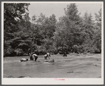 Negroes catching small catfish with their hands. Bait to be used in shoals of Little River near Eatonton, Georgia.