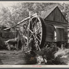 Waterwheel at active grist mill. Owner is Logan Maxwell. It is three miles from Cornelia, Georgia.