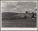 Eroded Vermont dairy pasture near Troy, Vermont.