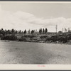 Cut-over land. Vermont.