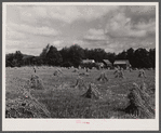 Vermont farm scene.