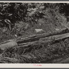 Old hog watering trough along side the road near Lowell, Vermont.