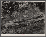 Old hog watering trough along side the road near Lowell, Vermont.
